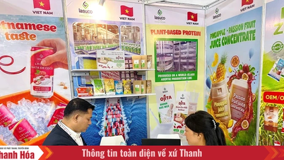 LASUCO membantu produk pertanian Vietnam mencapai lebih jauh di THAIFEX – ANUGA ASIA 2026.