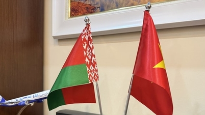 Vietnam - Belarus: Realizarea parteneriatului strategic