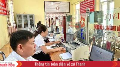 Promuovere la trasformazione digitale nella riforma amministrativa a Hoang Tien