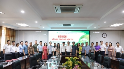 ກອງປະຊຸມເຄືອຂ່າຍ ແລະ ການຮ່ວມມືລະຫວ່າງພະແນກວິທະຍາສາດ ແລະ ເຕັກໂນໂລຊີ ແຂວງທາຍງວຽນ ແລະ ມະຫາວິທະຍາໄລກະສິກຳ ແລະ ປ່າໄມ້.