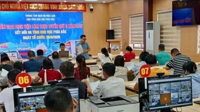 Thai Nguyen: Organizace online veletrhů pracovních příležitostí propojujících 6 severních provincií.