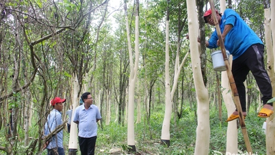 របៀបរស់នៅថ្មីមួយនៅតំបន់ជនជាតិភាគតិច។