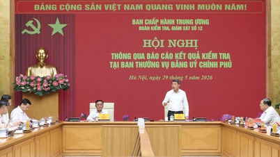 Politburo menetapkan fungsi, tugas, dan struktur organisasi Jawatankuasa Parti Kerajaan.