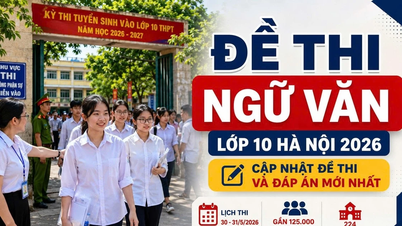 Vedeți acum întrebările și răspunsurile de examen pentru clasa a X-a la Literatură din Hanoi în 2026.