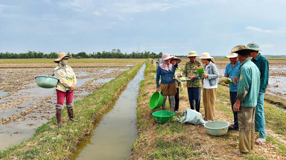 En raison de l'écosystème agricole