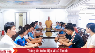 Siamo determinati a sviluppare Vovinam in modo estensivo e sostenibile, e a diffonderlo ampiamente.