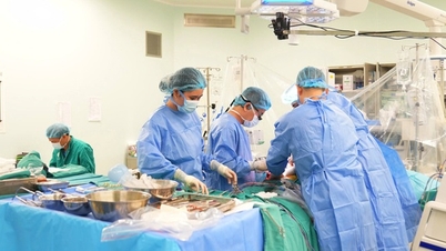 Overcoming the mismatch, heart transplant successfully performed on a patient with end-stage heart failure.