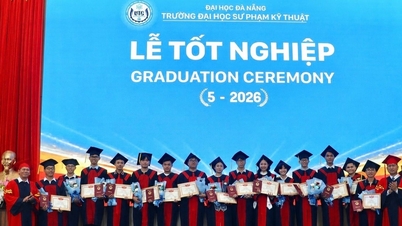 Da Nang University of Technology and Education delade ut examensbevis till 454 nya ingenjörer, arkitekter och kandidatexamen.
