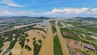 ខេត្តអានយ៉ាង (An Giang) បានចាប់ផ្តើមយុទ្ធនាការរយៈពេល 90 ថ្ងៃយ៉ាងខ្លាំងក្លា ដើម្បីបង្កើតវិន័យដីធ្លី និងសណ្តាប់ធ្នាប់ទីក្រុង។