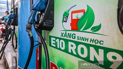 សាំង E10៖ ព័ត៌មានសំខាន់ៗពីក្រសួងឧស្សាហកម្ម និងពាណិជ្ជកម្ម ដែលបញ្ជាក់ពីការទទួលខុសត្រូវ ប្រសិនបើមានបញ្ហាម៉ាស៊ីនកើតឡើង។