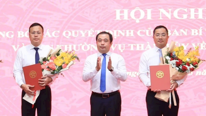 Điều động, bổ nhiệm nhiều cán bộ chủ chốt ở Hà Nội và 3 tỉnh
