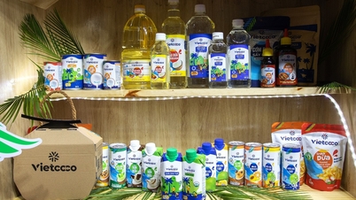 Vietcoco Green Brand: Un camino sostenible hacia la calidad global, realzando la calidad de los cocos vietnamitas.