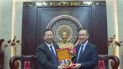 La città di Ho Chi Minh e il distretto di Dongcheng (Pechino, Cina) intensificano la cooperazione nei settori dell'economia, dello sviluppo urbano e della sanità.