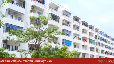 Rumah sewa: Bagaimana untuk mencari harga yang sesuai dengan keperluan anda?