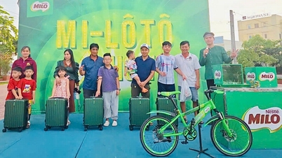 Plus de 12 000 parents et enfants ont participé au « Festival MILO - Conquérir les trois avantages » à Vinh Long.