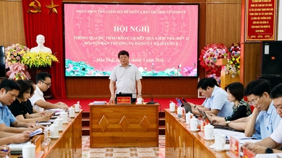 Inspection and supervision team No. 285 of the Provincial Party Standing Committee worked with the Standing Committee of the Mau Due Commune Party Committee.