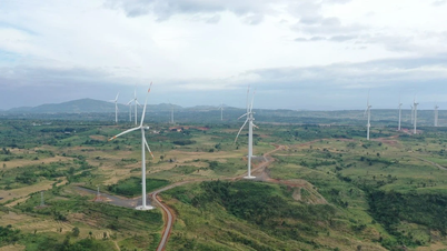 Společnost Gia Lai schválila investora pro projekt větrné energie v hodnotě přes 1,616 miliardy VND.