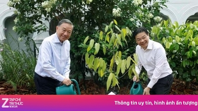 유엔 사무총장 겸 회장인 토 람과 싱가포르 총리가 나무 심기 행사에 참석했습니다.