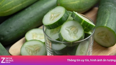 오이의 다양한 활용법에 대한 새로운 발견들.
