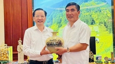 ບໍລິສັດ Vinachem ຮ່ວມມືກັບ Hateco ເພື່ອສະໜອງຢາງພາລາດ້ານວິຊາການໃຫ້ແກ່ທ່າເຮືອ Lien Chieu.