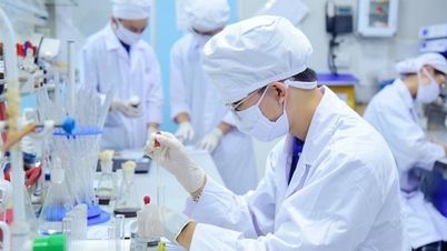 Làm gì để khoa học cơ bản ở Việt Nam phát triển đột phá?