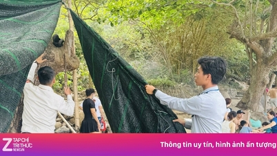 다낭시는 손트라 반도 주변의 무허가 텐트와 캠프장에 대한 단속을 강화하고 있습니다.