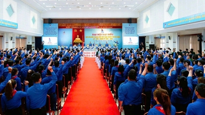 Da Nang youth are pioneering the entry into a new era.