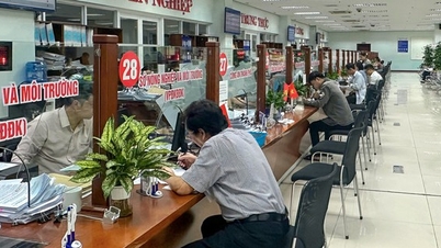 В Дананге сокращено время обработки 5 административных процедур в земельном секторе до 1,5 дней.