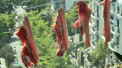 ¿Cómo puedes asegurarte de que secar panceta de cerdo al sol a 40 grados Celsius dé como resultado un plato seguro y delicioso en casa?