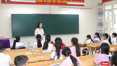 733 thí sinh dự tuyển vào lớp 6 Trường TH-THCS-THPT Chu Văn An