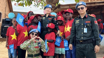 Vietnamesische Spuren im zentralafrikanischen Raum