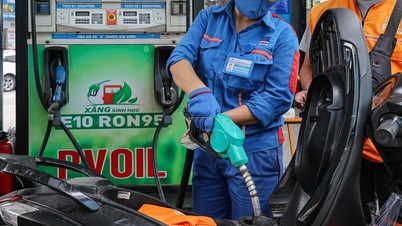 Ministerstvo průmyslu a obchodu se zabývá obavami, zda benzín E10 snižuje účinnost vozidel.