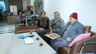 Kahraman Tran Ngoc Mat: Arkadaşları öldüğünü sanarak onu muz yapraklarıyla örttüler.