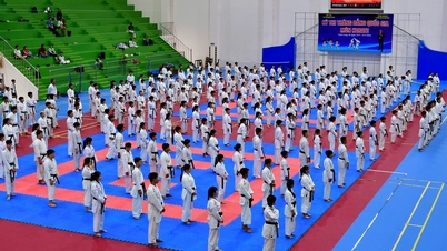 343 estudiantes de kárate realizan el examen nacional de ascenso de rango.