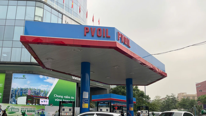Cosa ne pensano i consumatori e le case automobilistiche vietnamite della benzina E10?