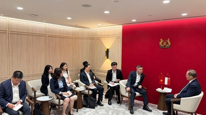 Việt Nam - Singapore tăng cường hợp tác trong lĩnh vực tài chính, kinh tế xanh và đổi mới sáng tạo