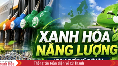 ថាមពលបៃតង - មេរៀនពីអឺរ៉ុប និងបញ្ហាប្រឈមសម្រាប់អនាគត។