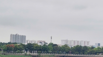 Die Stadt Dong Nai verzichtet für mehrere prioritäre Gruppen auf die Miete.