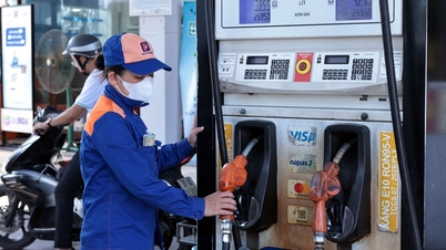 Especialistas recomendam que não são necessários aditivos ao usar gasolina E10.