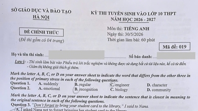 Antwoordmodel voor het Engelse examen met code 019 voor het toelatingsexamen van de 10e klas in Hanoi in 2026