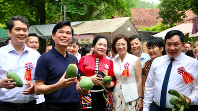 งานเฉลิมฉลองเทศกาลมะม่วงเยนเชา 2026 อันครึกครื้น