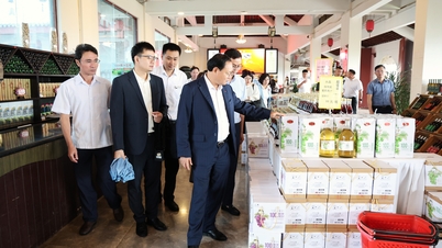 レ・ミン・ガン省党書記率いる代表団は、ホンハ地区ディラック市の社会経済開発モデルを視察した。