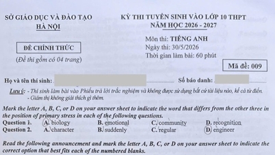 ຄຳຕອບສຳລັບລະຫັດສອບເສັງ 009, ວິຊາພາສາອັງກິດ, ການສອບເສັງເຂົ້າຮຽນຊັ້ນມໍ 10 ທີ່ຮ່າໂນ້ຍໃນປີ 2026
