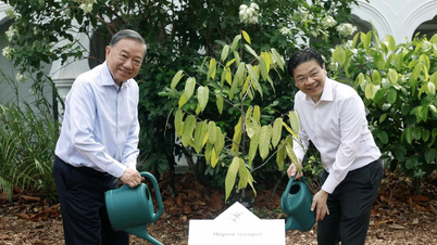 Sekretaris Jenderal dan Presiden To Lam menanam pohon di Kebun Raya Singapura.