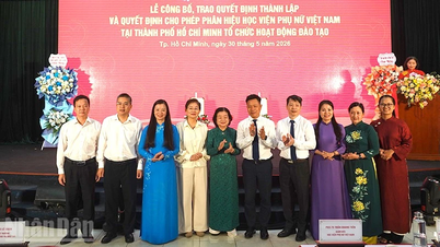 Création d'une antenne de l'Académie des femmes du Vietnam à Hô Chi Minh-Ville.
