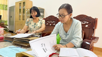 동나이성은 점진적으로 통합학교 모델(단계별 교육과정)을 발전시켜 나가고 있습니다.