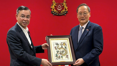 Vietnam und Singapur fördern neue VSIP-Projekte.
