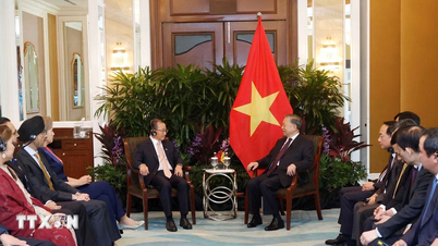 Vietnam dan Singapura menggalakkan kerjasama parlimen dan Perkongsian Strategik Komprehensif.