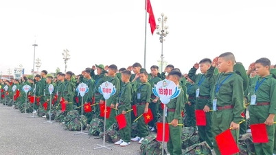 Plus de 300 « jeunes soldats » ont participé au programme « Un semestre dans l'armée ».
