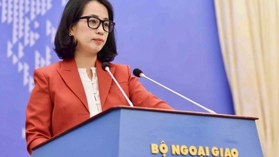 Il Vietnam si oppone all'avvio di un'indagine da parte degli Stati Uniti sulla proprietà intellettuale.